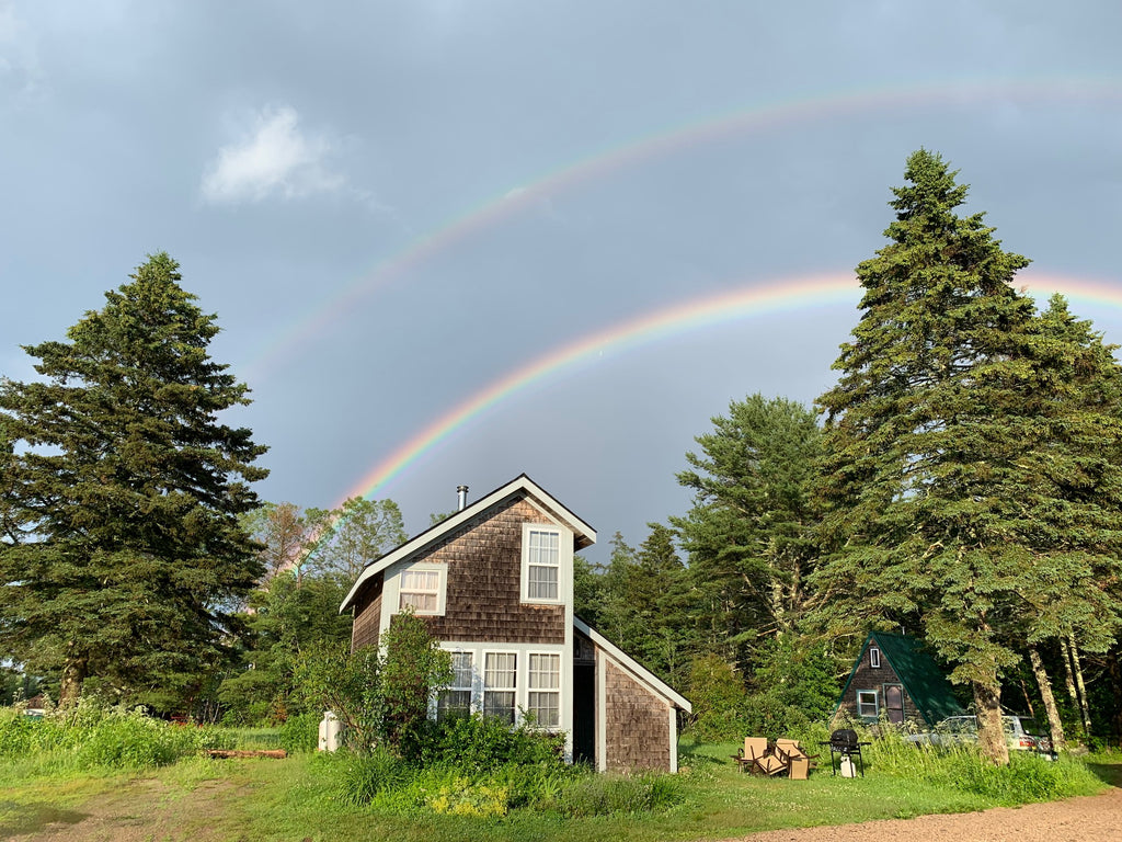 Update from the Gardens