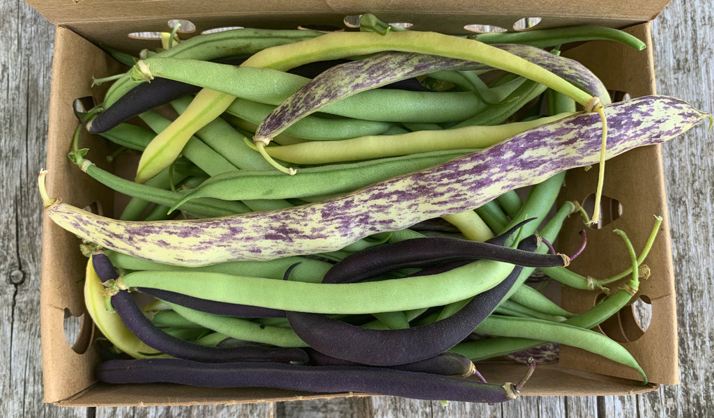 Cynthia's Kitchen - Green Beans