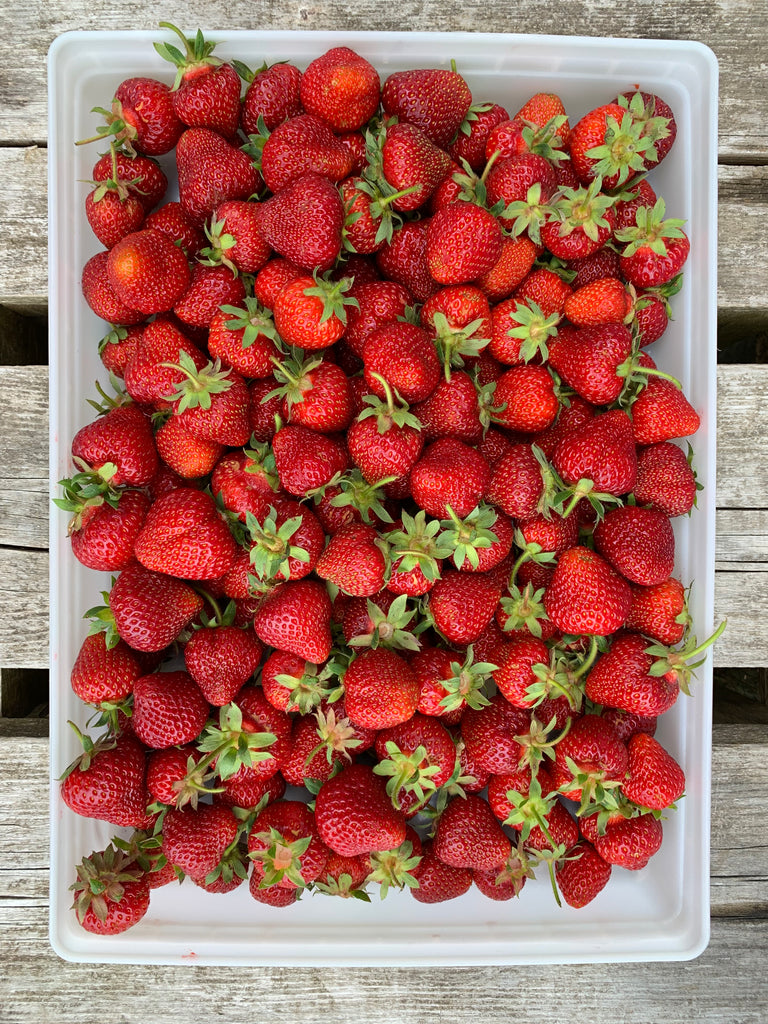 Update from the Gardens