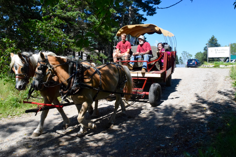 Off to the Common Ground Fair