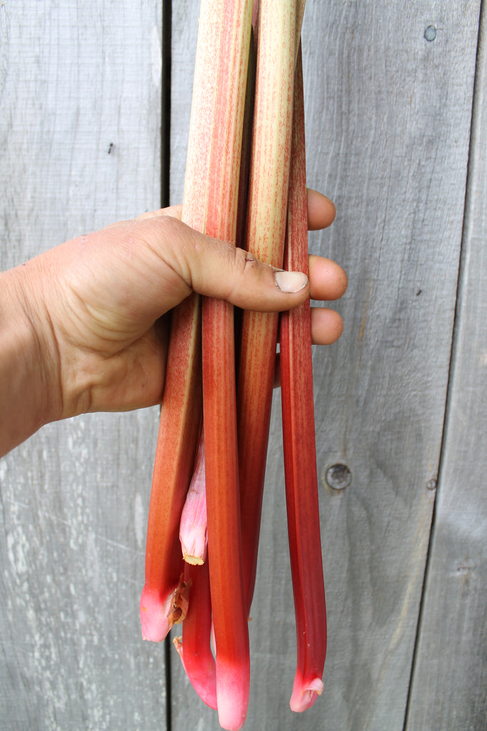 Cynthia's Kitchen - Rhubarb Ideas