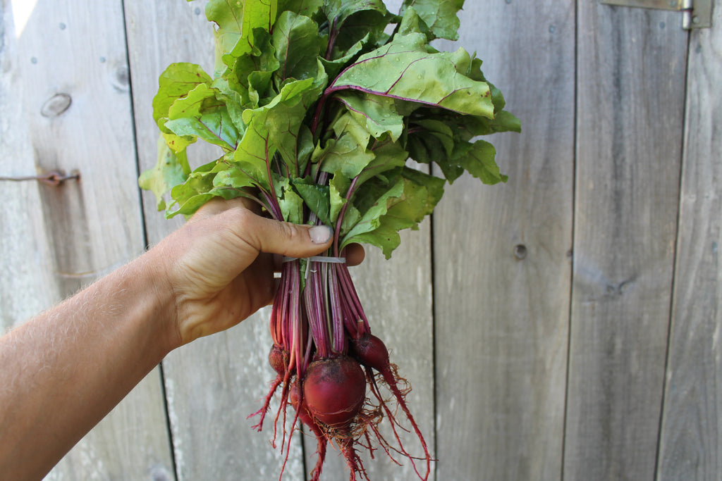 Cynthia's Kitchen - Sauteed Beet Greens