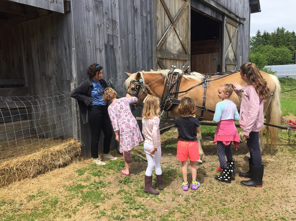 Open Farm Day