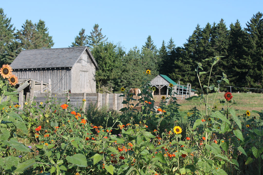 Update from the Gardens