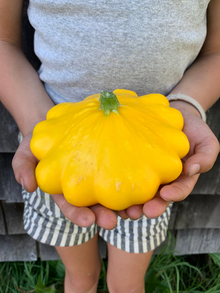 Cynthia's Kitchen - Summer Squash/Zucchini