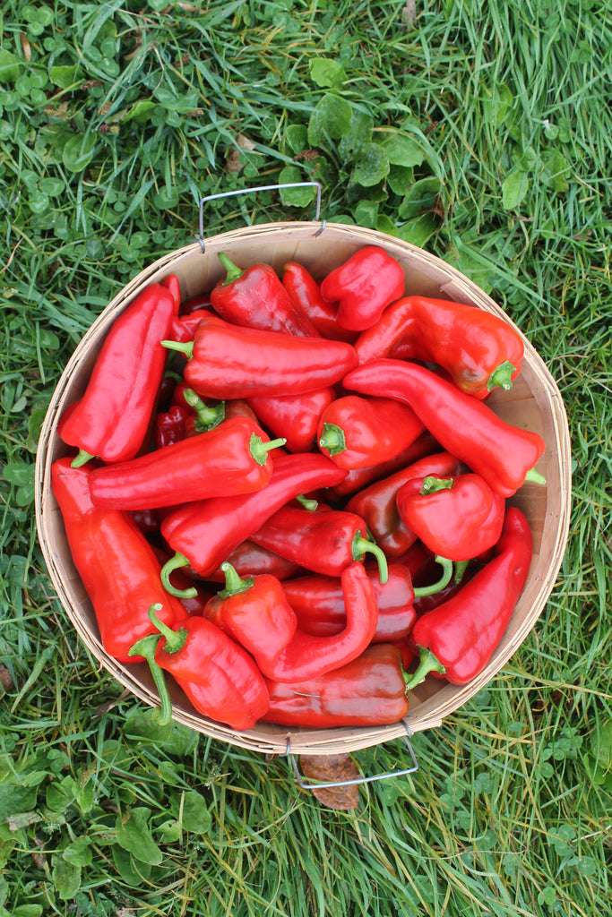 Community Kitchen - Roasted Pepper and Tomato Soup