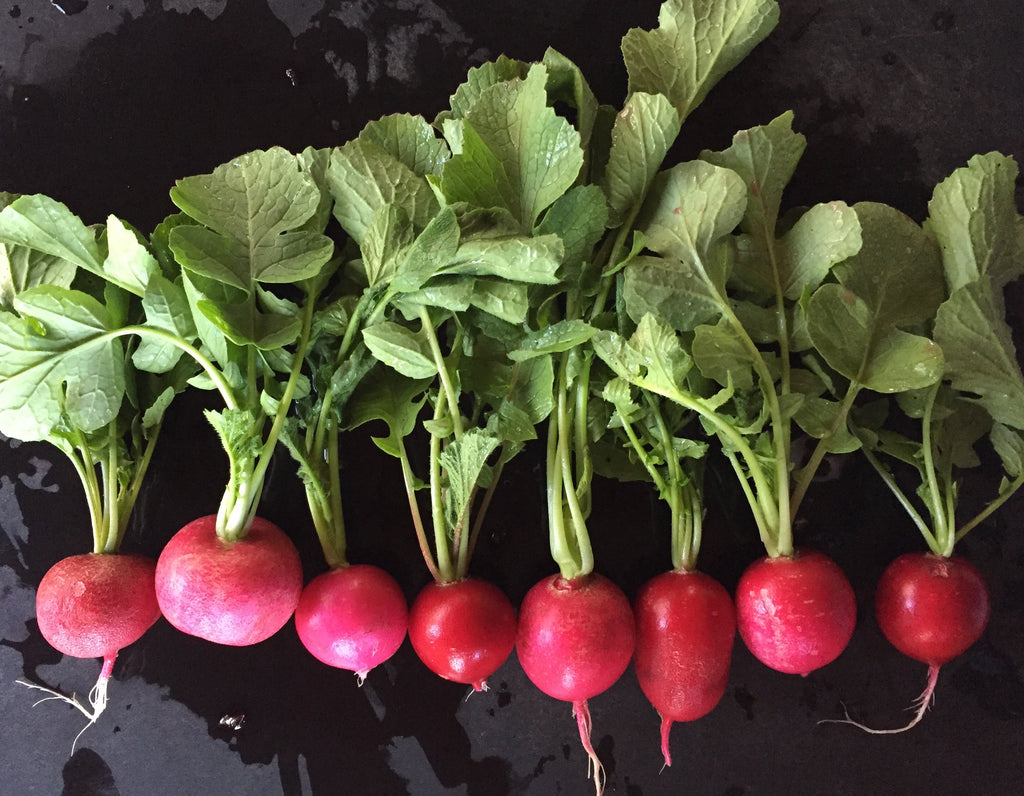 Cynthia's Kitchen - Sautéed Radishes with their Greens