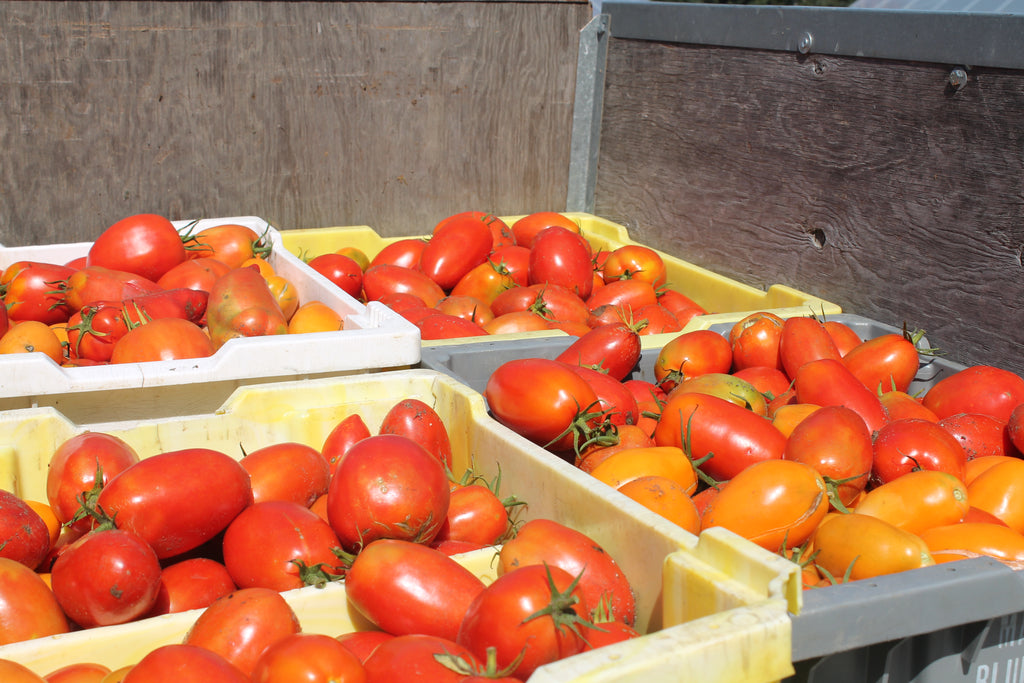 Cynthia's Kitchen - Fresh Tomato Tart