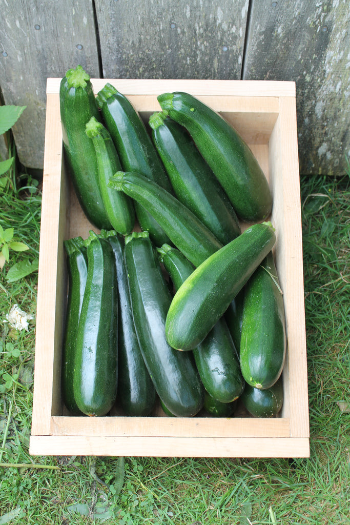 Cynthia's Kitchen - Stuffed Zucchini