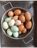 Eggs