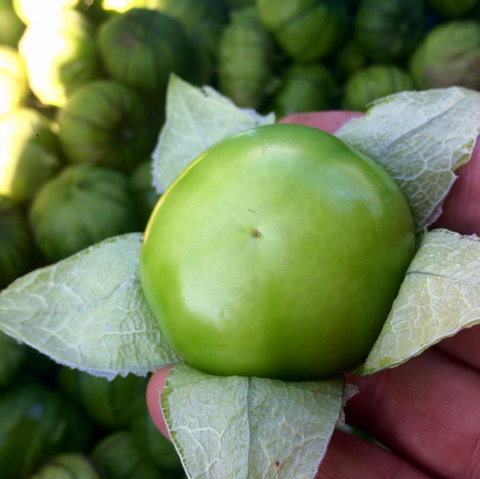 Tomatillo Salsa (Salsa Verde)